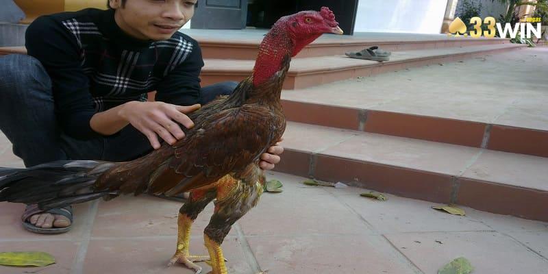 Từng mùa sẽ có kỹ thuật thao tác khác nhau hoàn toàn