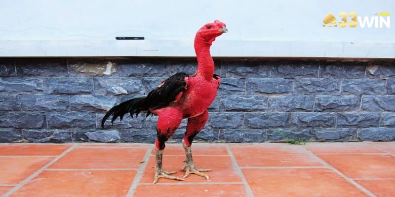 Thời gian om lý tưởng từ 1 cho đến 3 tháng